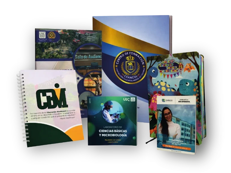 Colegios & universidades